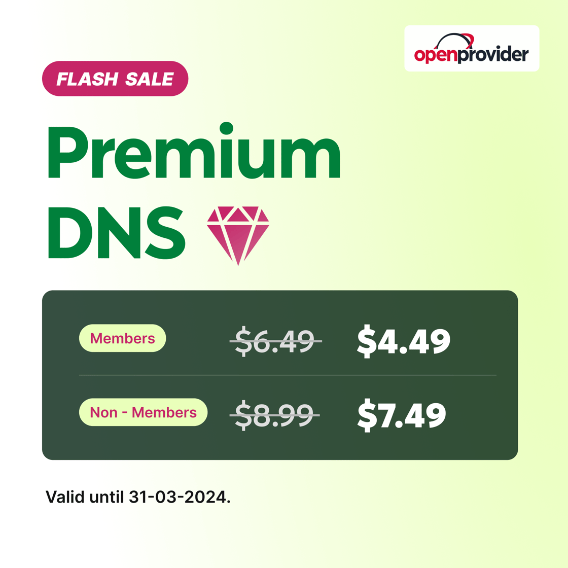 Premium DNS-1