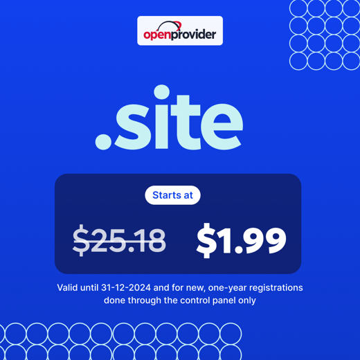 online, .site, .fun (1)-1